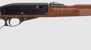 REMINGTON NYLON 76 LEVER ACTION for sale