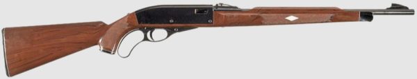 REMINGTON NYLON 76 LEVER ACTION for sale