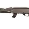 REMINGTON NYLON APACHE 77 for sale