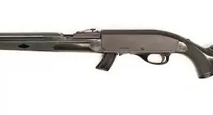 REMINGTON NYLON APACHE 77 for sale