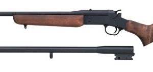 ROSSI MATCHED PAIR CENTERFIRE RIFLE/SHOTGUN for sale