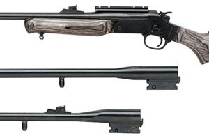 ROSSI MATCHED PAIR RIMFIRE RIFLE/SHOTGUN for sale