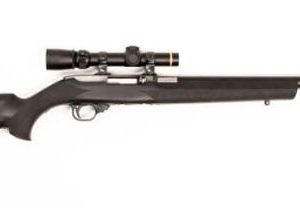 RUGER 10/22 MAGNUM for sale