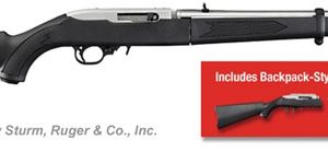 RUGER 10/22 TAKEDOWN TD for sale