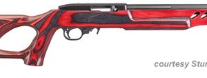 RUGER 10/22 TARGET LITE for sale