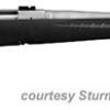 RUGER AMERICAN RIFLE ALL-WEATHER for sale