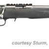 RUGER AMERICAN RIMFIRE RIFLE STAINLESS for sale