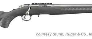 RUGER AMERICAN RIMFIRE RIFLE STAINLESS for sale