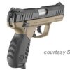 RUGER DAVIDSON'S SR22 for sale