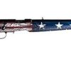 RUGER GALLERY OF GUNS AMERICAN RIMFIRE FARMER EDITION for sale