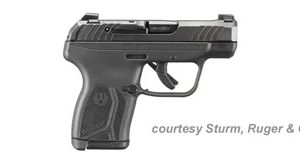 RUGER LCP MAX for sale