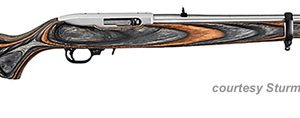 RUGER LIPSEY'S 10/22 CARBINE for sale