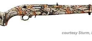 RUGER LIPSEY'S 10/22 CARBINE for sale