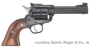 RUGER LIPSEY'S SINGLE-TEN for sale