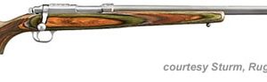 RUGER MODEL 77/17 STAINLESS for sale