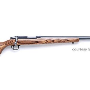 RUGER MODEL 77/22-RH/RSH HORNET for sale