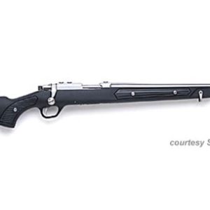 RUGER MODEL 77/22-RP/RSP ALL-WEATHER STAINLESS for sale