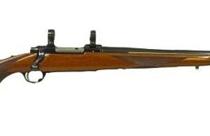 RUGER MODEL 77V VARMINT for sale