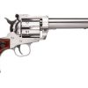 RUGER NEW MODEL BLACKHAWK HIGH GLOSS STAINLESS STEEL for sale