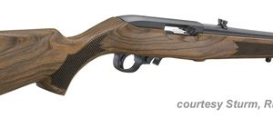 RUGER TALO 10/22 SPORTER for sale