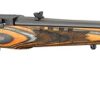 RUGER TALO 10/22 SPORTER - BENGAL TIGER for sale