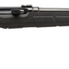 SAVAGE ARMS A17 HM2 for sale