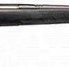 SAVAGE ARMS B.MAG 17 SERIES BOLT ACTION for sale