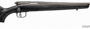 SAVAGE ARMS B.MAG 17 SERIES BOLT ACTION for sale