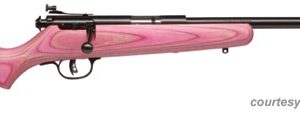 SAVAGE ARMS CUB (G) for sale