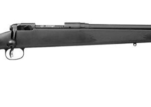 SAVAGE ARMS MODEL 10 LAW ENFORCEMENT SERIES for sale