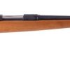 SAVAGE ARMS MODEL 110-E for sale