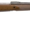 SAVAGE ARMS MODEL 111-GCNS for sale