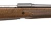 SAVAGE ARMS MODEL 114 AMERICAN CLASSIC/CLASSIC for sale