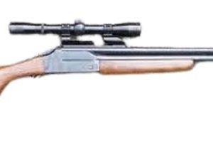 SAVAGE ARMS MODEL 24V for sale