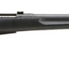 SAVAGE ARMS MODEL 25 WALKING VARMINTER for sale