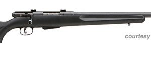 SAVAGE ARMS MODEL 25 WALKING VARMINTER for sale