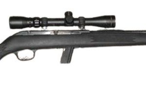 SAVAGE ARMS MODEL 64 SERIES SEMI-AUTO for sale