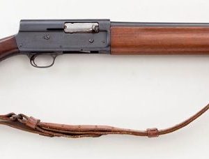 SAVAGE ARMS MODEL 720 RIOT for sale