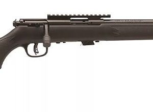 SAVAGE ARMS MODEL 93R17 FV SR for sale