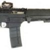 SIG 556 CLASSIC for sale