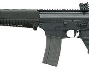 SIG 556 PATROL for sale