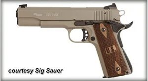 SIG SAUER 1911-22 for sale