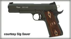 SIG SAUER 1911-22 for sale