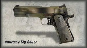 SIG SAUER 1911-22 for sale