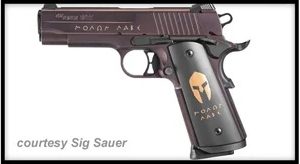 SIG SAUER 1911 CARRY SPARTAN for sale