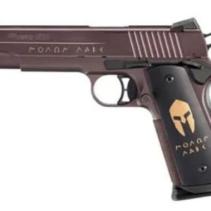 SIG SAUER 1911 CARRY SPARTAN for sale