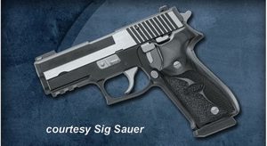 SIG SAUER P220 EQUINOX for sale