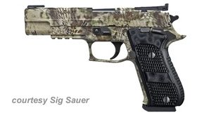 SIG SAUER P220 HUNTER for sale