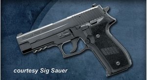 SIG SAUER P226 for sale