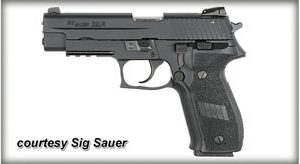 SIG SAUER P226 .22 LR for sale